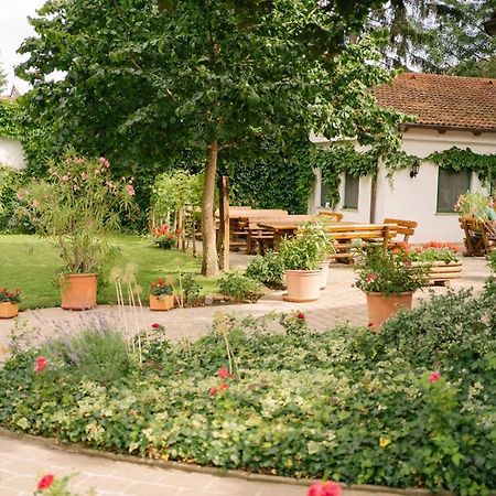 Hotel-Restaurant-Vinothek Felix Sommer Auersthal Exterior photo